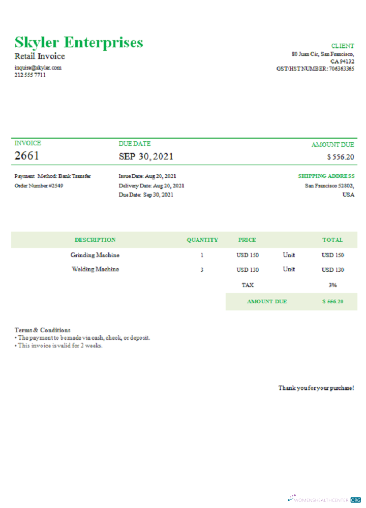 Download USA Skyler Enterprises invoice Photoshop template